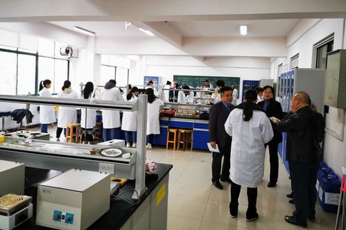 我院食品科學(xué)與工程本科專業(yè)接受校內(nèi)專業(yè)評估